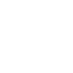 vision-white vision-white